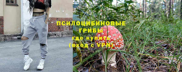 шишки Лабытнанги