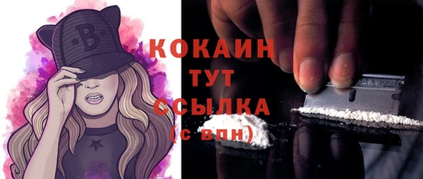 бошки Ладушкин