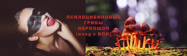 бошки Ладушкин