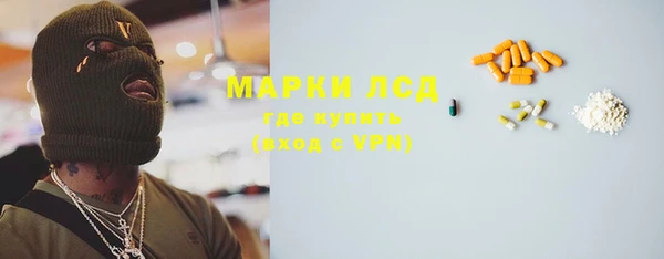 шишки Лабытнанги