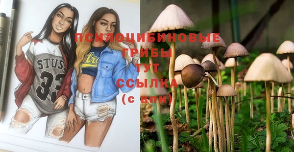 mix Вязьма