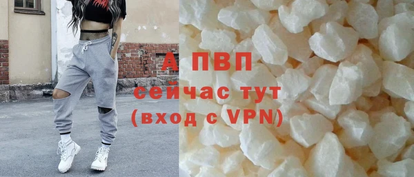 прущие грибы Нефтекумск