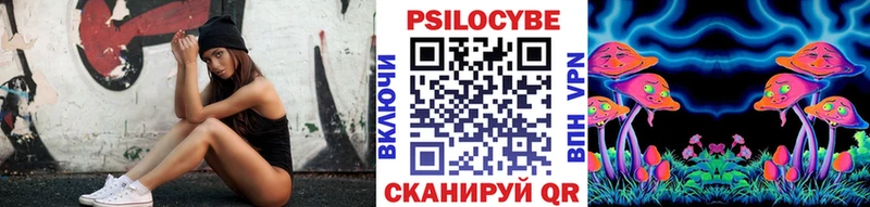 Галлюциногенные грибы Psilocybe  Петухово 